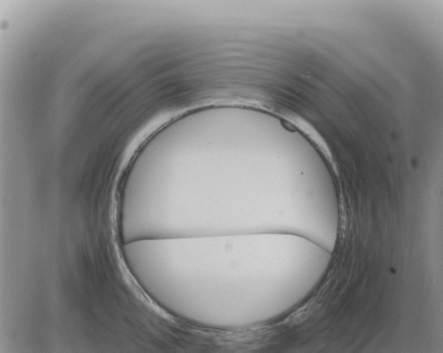 X0000080681096200612301418