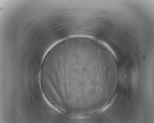 X0000080681100200612301418