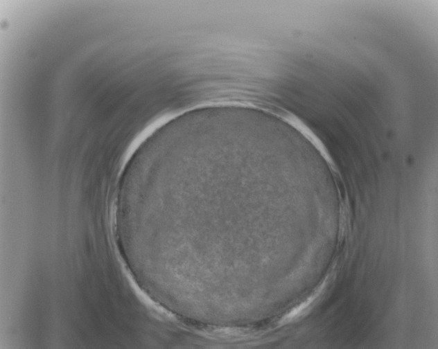 X0000080681101200612301418