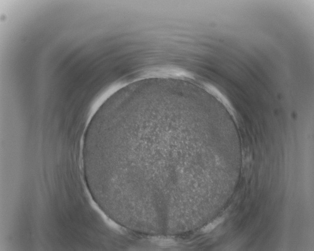 X0000080681103200612301418