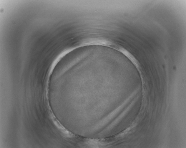 X0000080681104200612301418