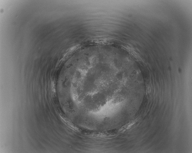 X0000080681106200612301418