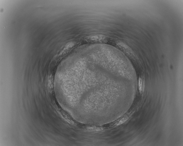 X0000080681107200612301418