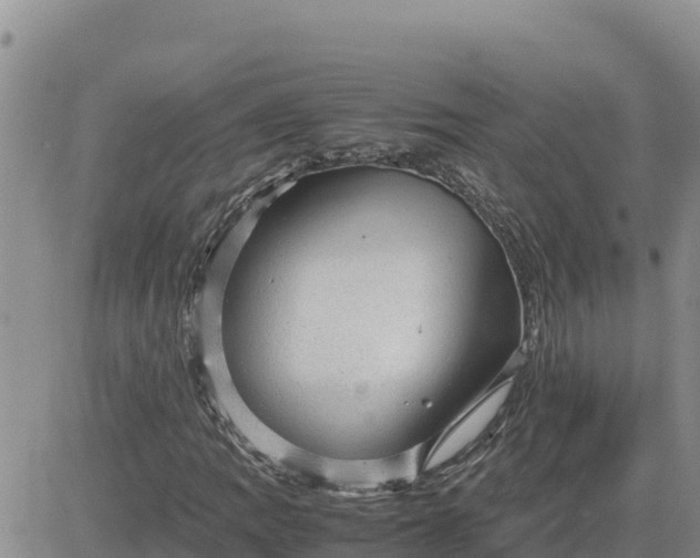 X0000080681109200612301418