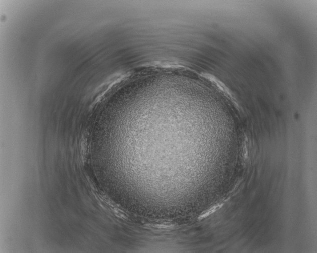 X0000080681110200612301418