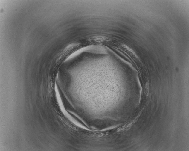 X0000080681111200612301418