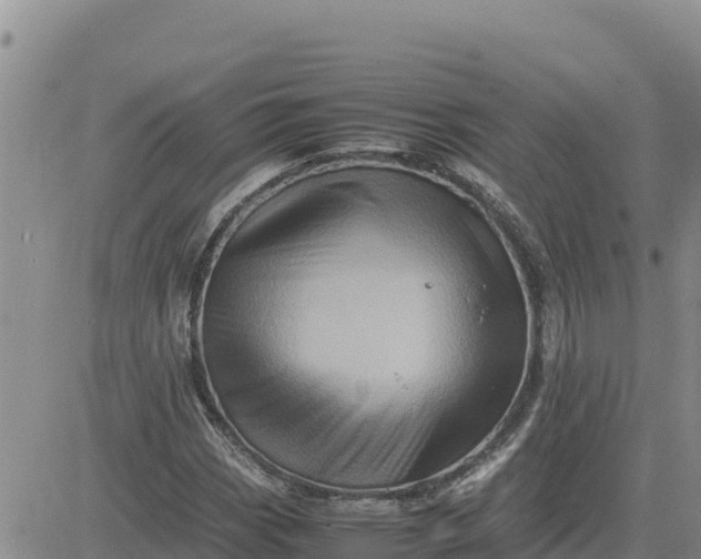 X0000080681113200612301418