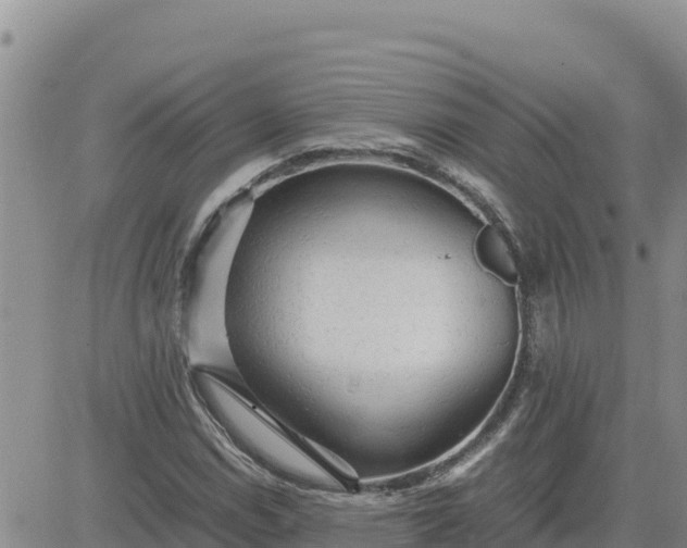 X0000080681114200612301418