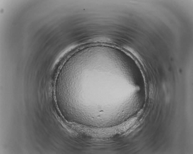 X0000080681115200612301418