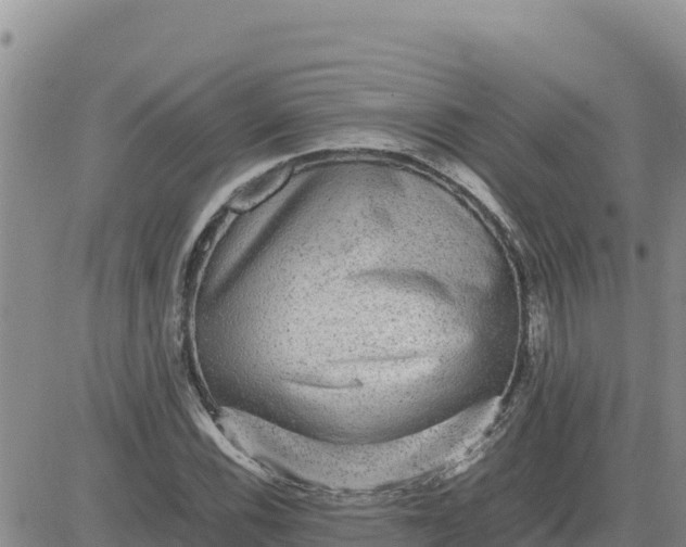 X0000080681116200612301418