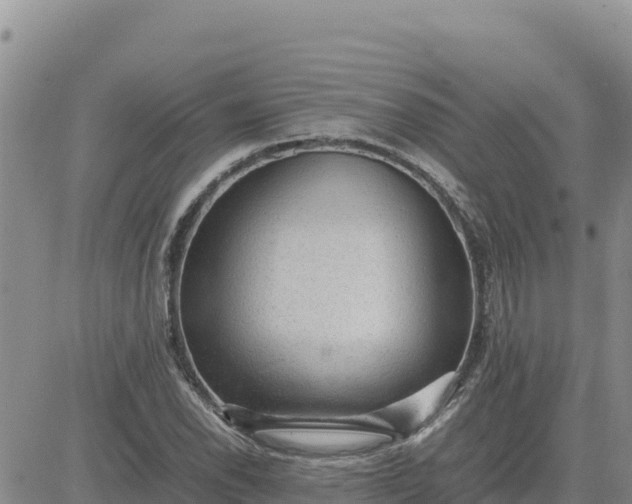 X0000080681118200612301418