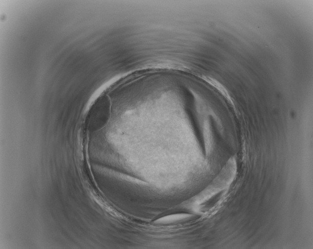 X0000080681120200612301418