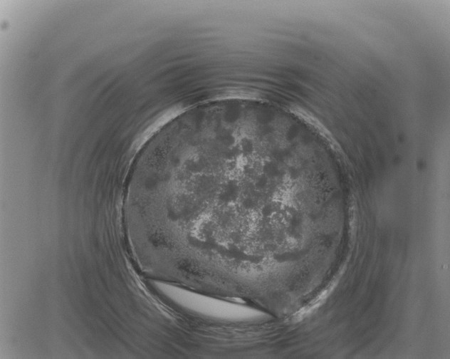 X0000080681121200612301418