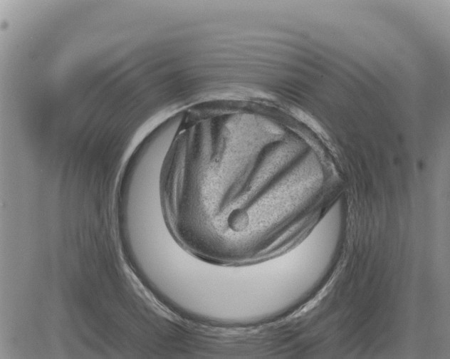 X0000080681122200612301418