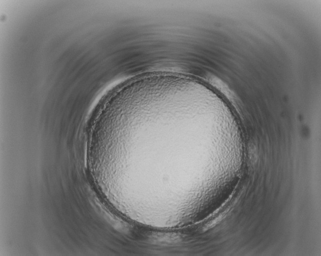 X0000080681123200612301418