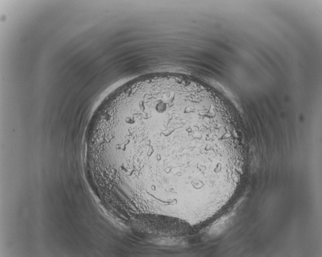 X0000080681125200612301418