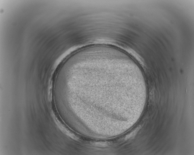 X0000080681126200612301418