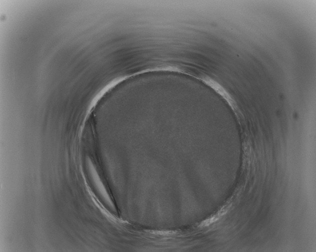 X0000080681127200612301418