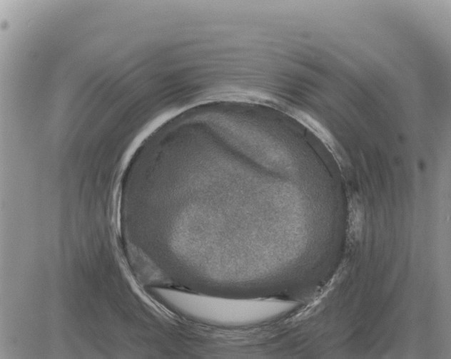 X0000080681128200612301418