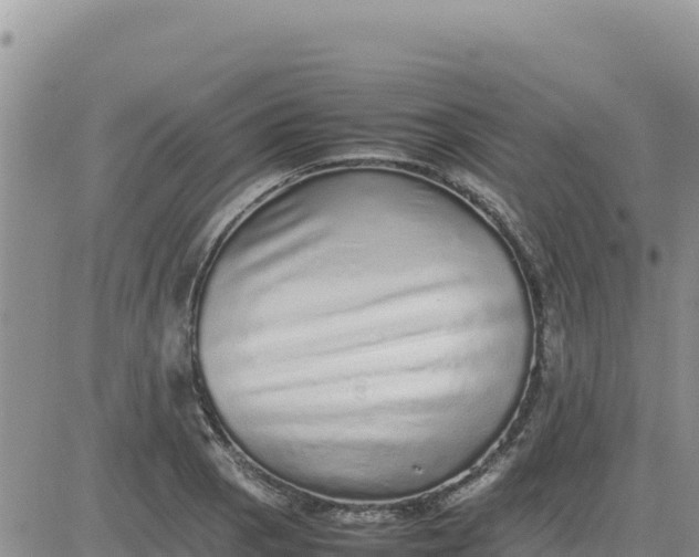 X0000080681129200612301418