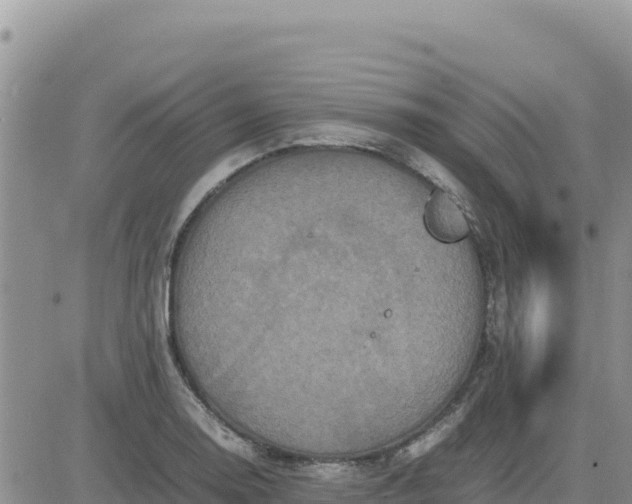 X0000080681130200612301418