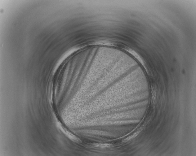 X0000080681131200612301418