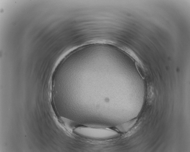 X0000080681132200612301418