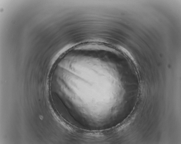 X0000080681133200612301418