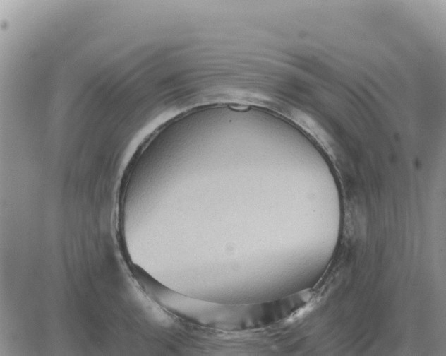 X0000080681136200612301418