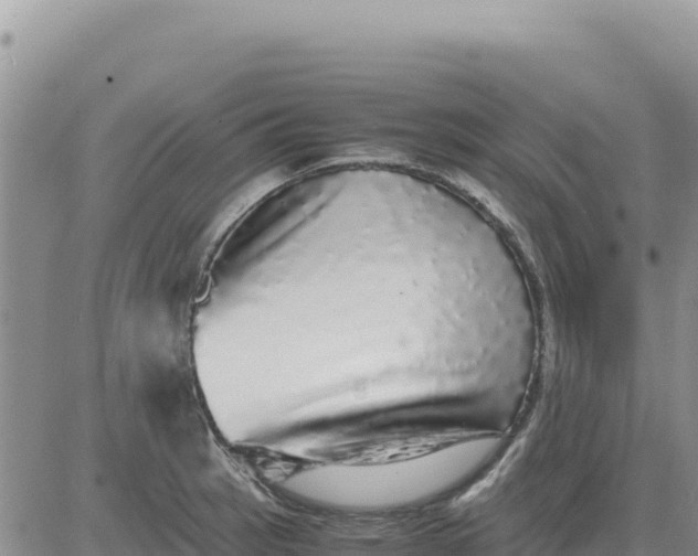 X0000080681137200612301418