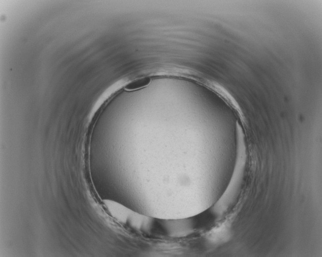 X0000080681138200612301418