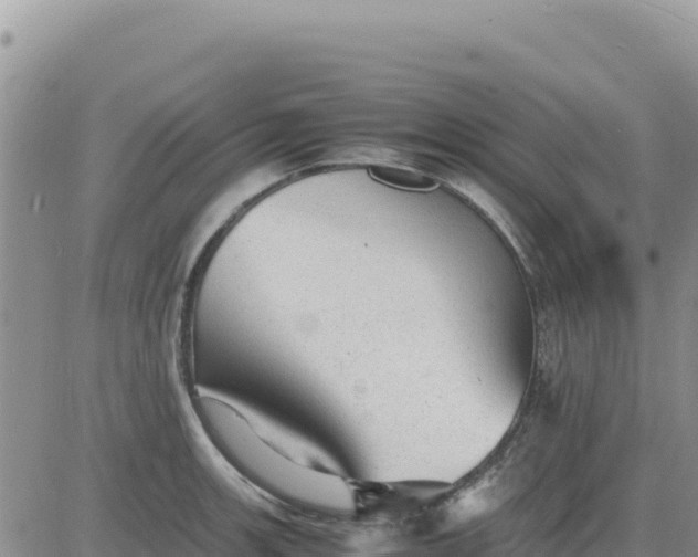 X0000080681139200612301418