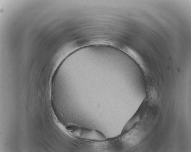 X0000080681140200612301418