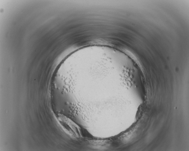 X0000080681141200612301418