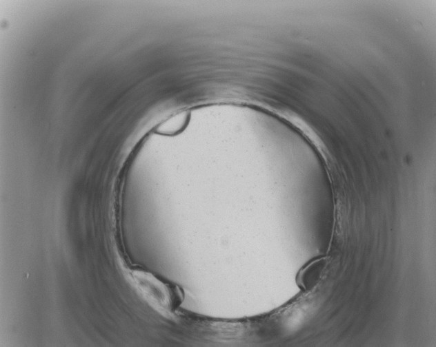 X0000080681142200612301418