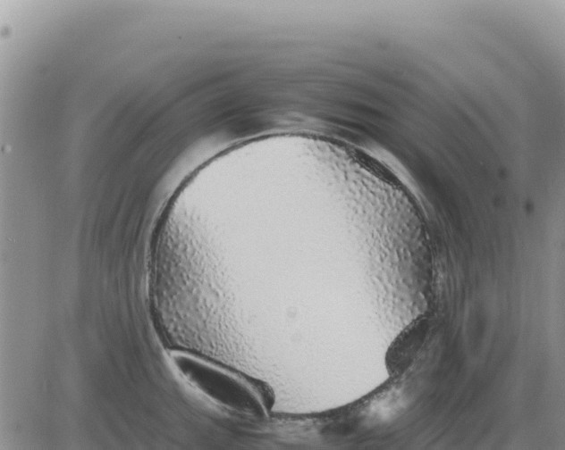 X0000080681143200612301418