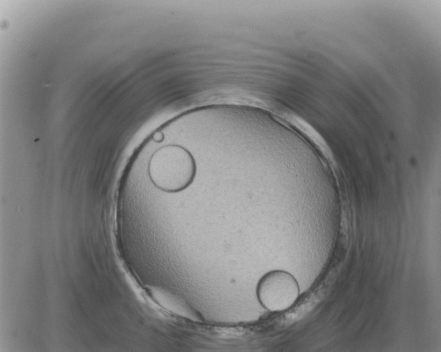 X0000080681144200612301418