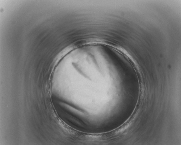 X0000080681145200612301418