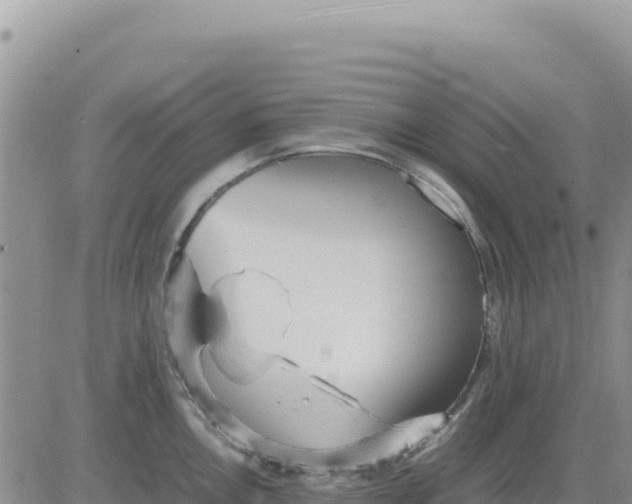 X0000080681146200612301418