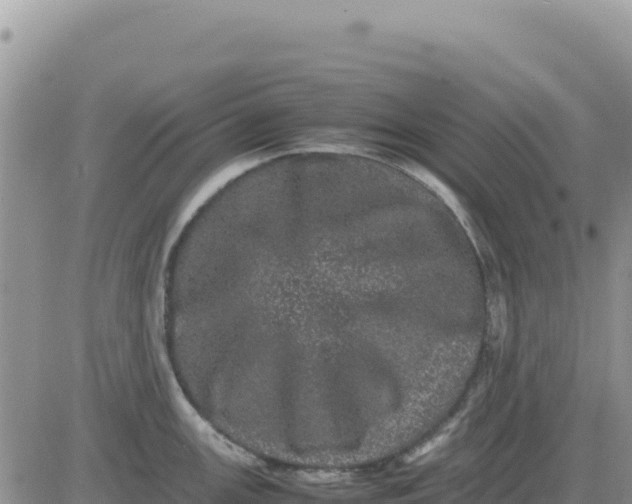 X0000080681147200612301418