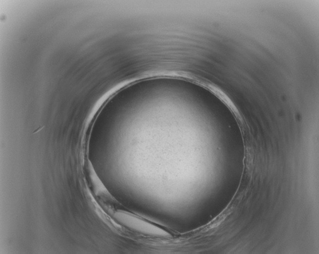 X0000080681148200612301418