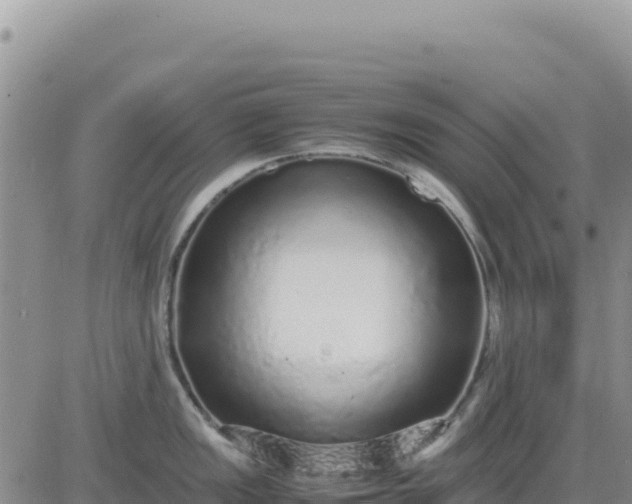 X0000080681149200612301418