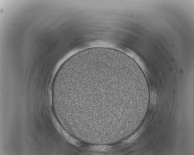 X0000080681150200612301418