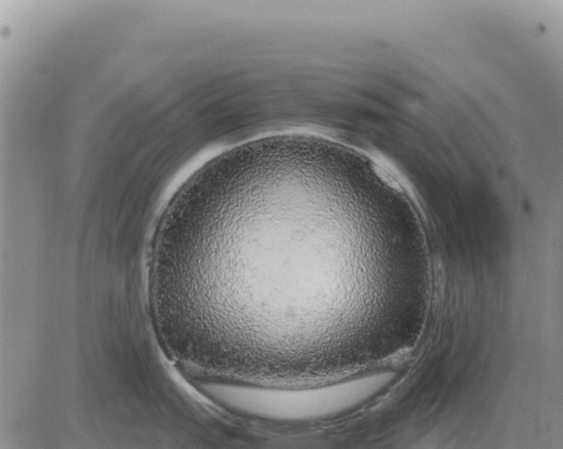 X0000080681151200612301418