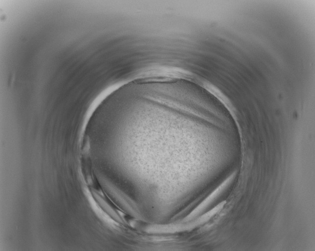 X0000080681152200612301418