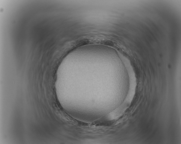 X0000080681153200612301418