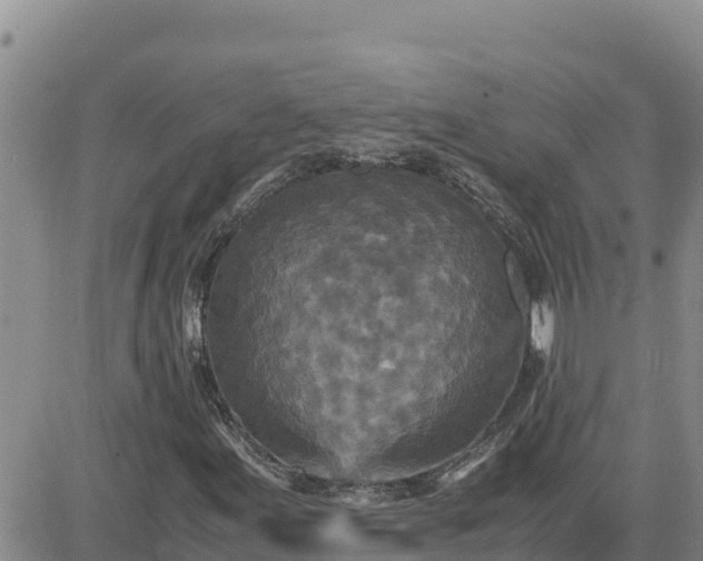 X0000080681155200612301418