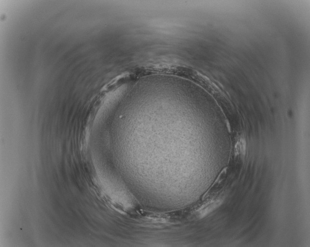 X0000080681156200612301418