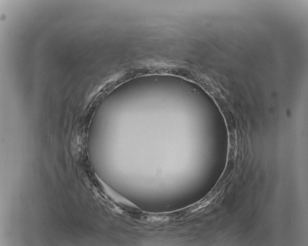 X0000080681157200612301418