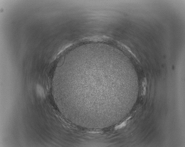 X0000080681158200612301418